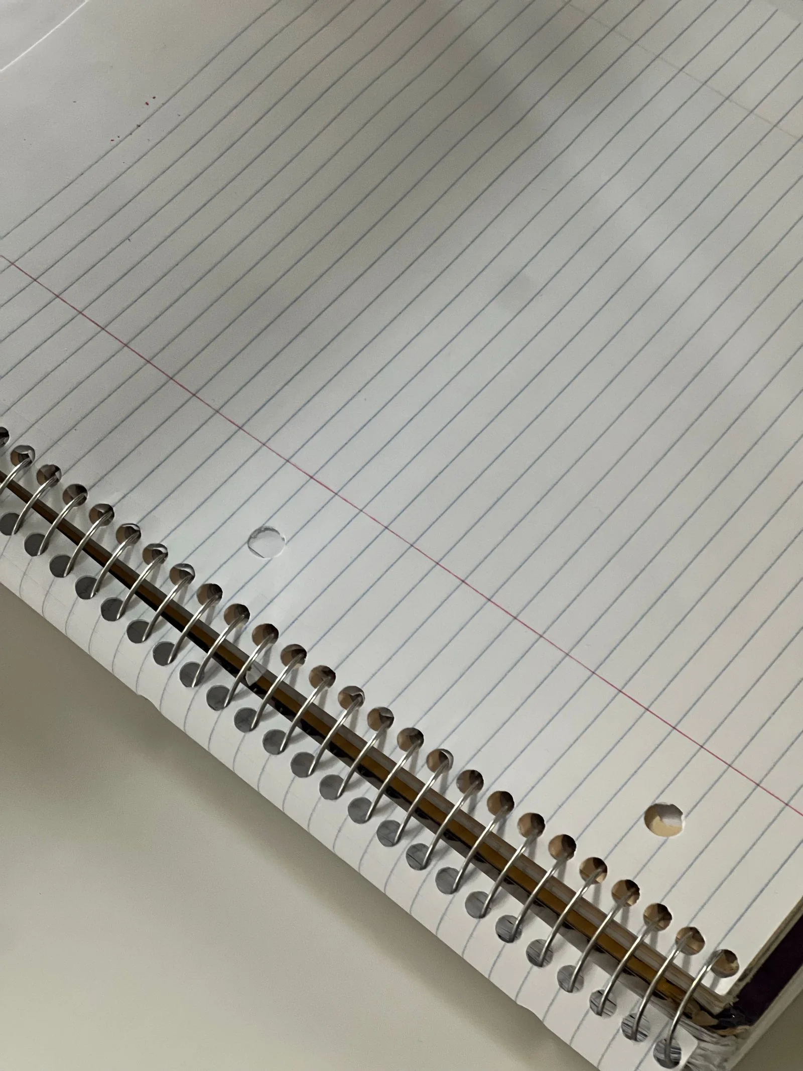 Close-up of a spiral-bound notebook